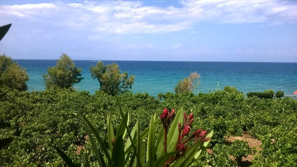 Villa Antonis Deluxe Apartments Amoudi Bagian luar foto